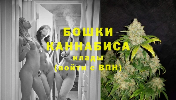 ПСИЛОЦИБИНОВЫЕ ГРИБЫ Абдулино