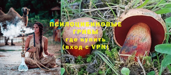 ПСИЛОЦИБИНОВЫЕ ГРИБЫ Абдулино